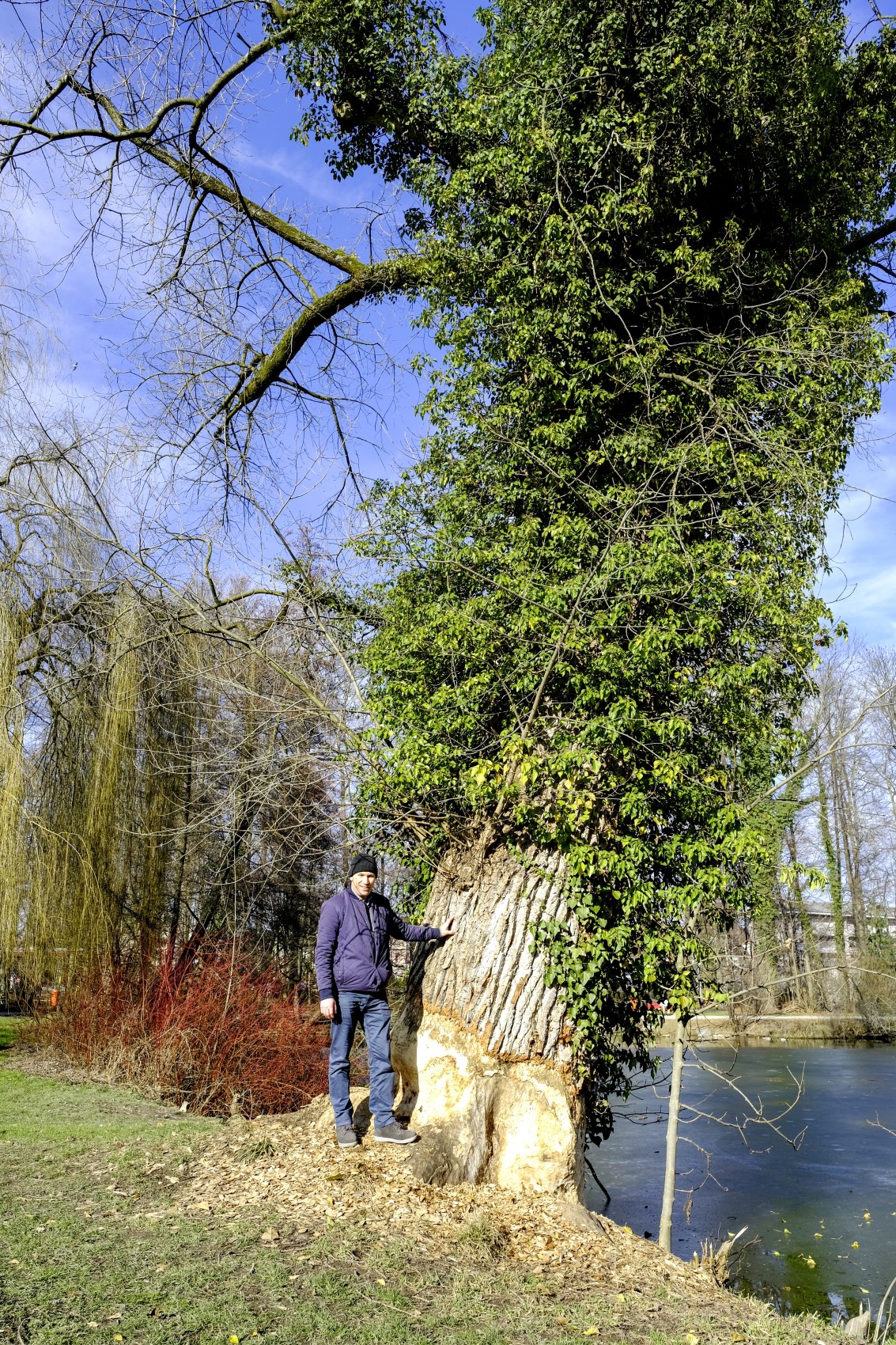 Didi Feuerle, Resortleiter Bau und Umwelt, beim