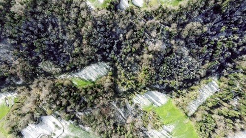 Reaktivierung des Altlaufs beim Gallussteg