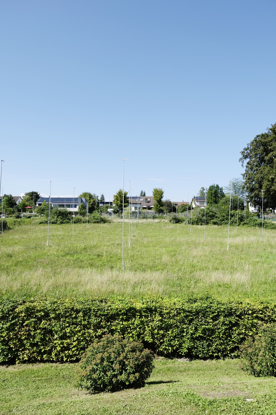 Der Visier-Wald oberhalb der Florastrasse bleibt noch eine Weile bestehen.