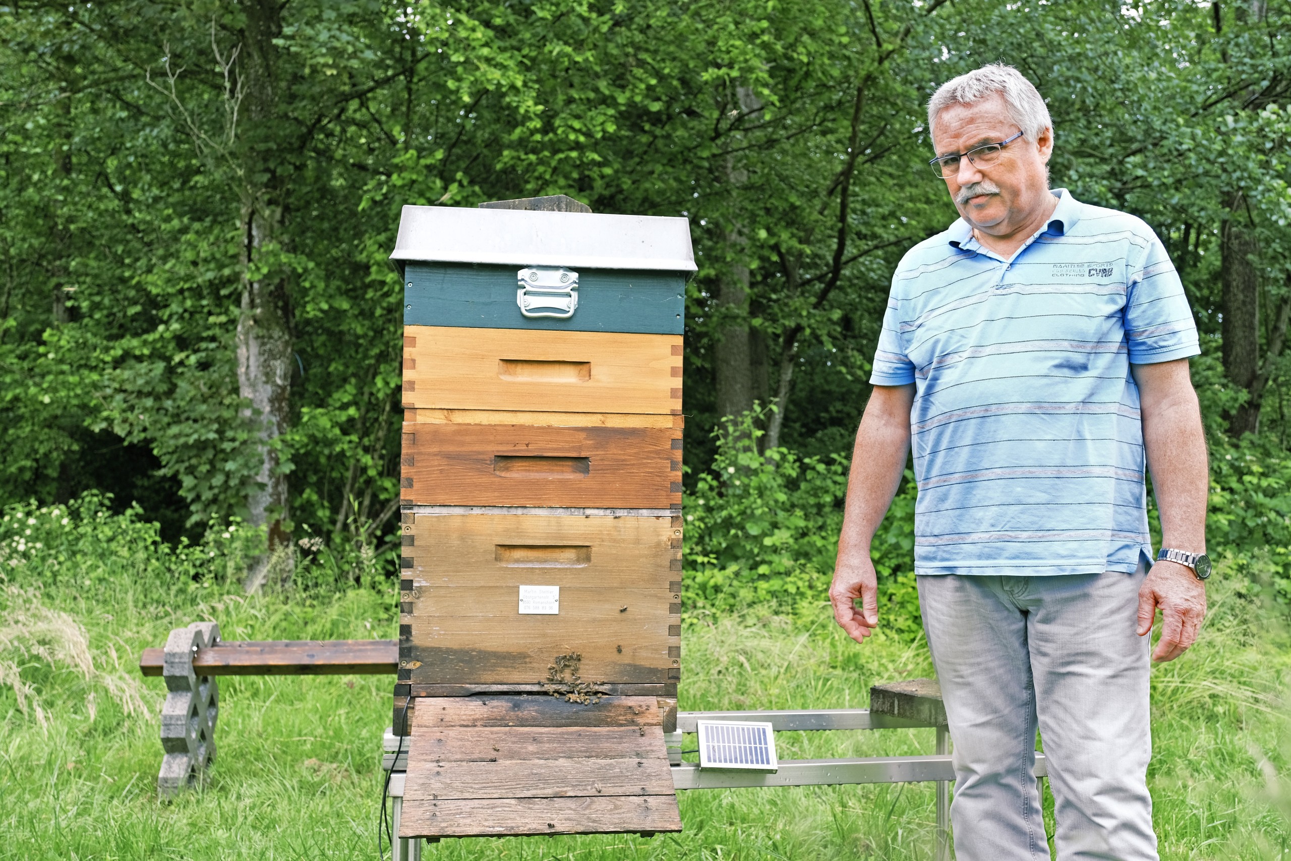 Martin Stettler betreut 30 Bienenvölker im Oberthurgau. «Für die Arbeit mit ihnen braucht es eine ruhige Hand. Sie reagieren auf Nervosität und Hektik», erklärt er.