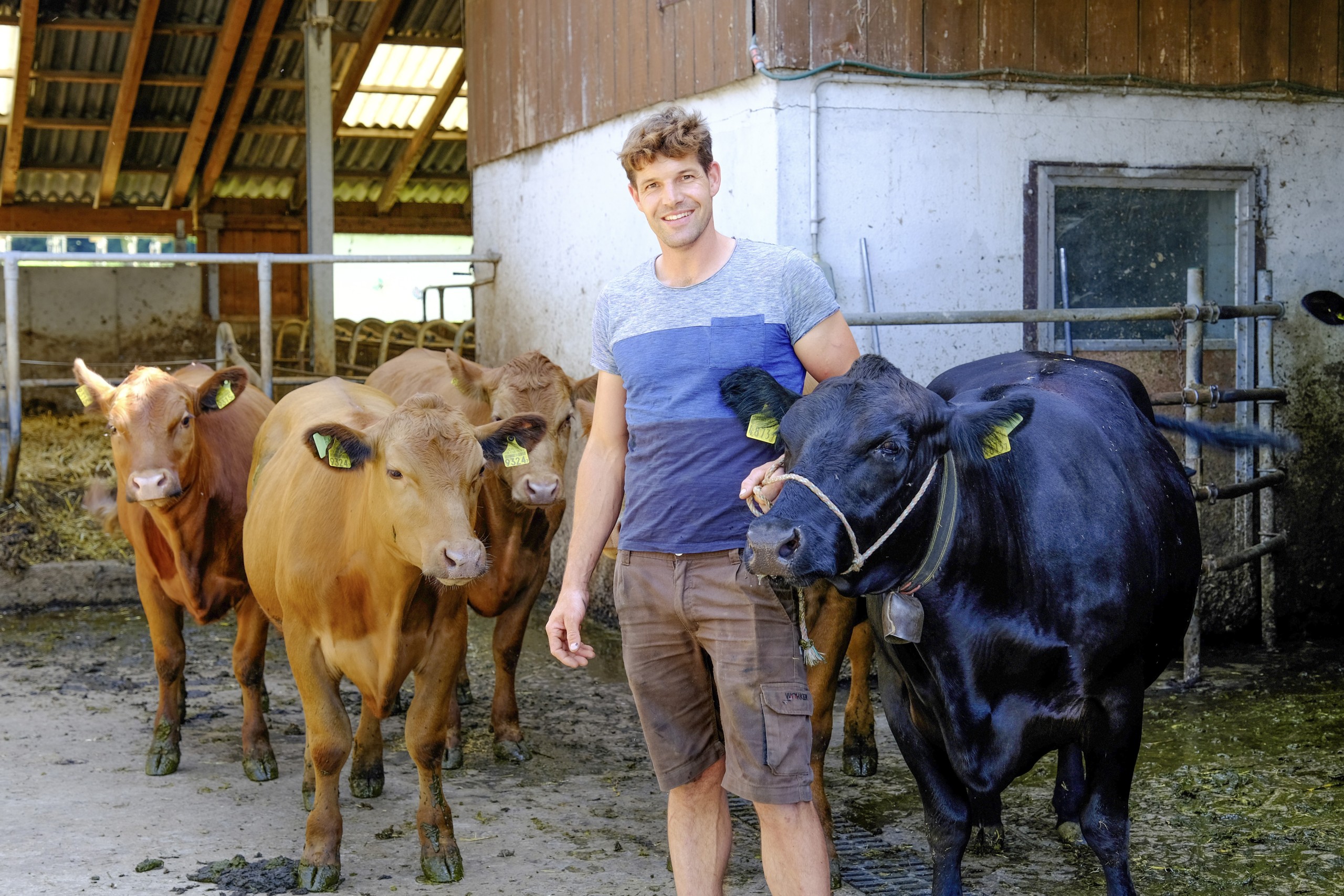 Adrian Straub betreibt auf seinem Roggwiler Hof Mutterkuh-Haltung.