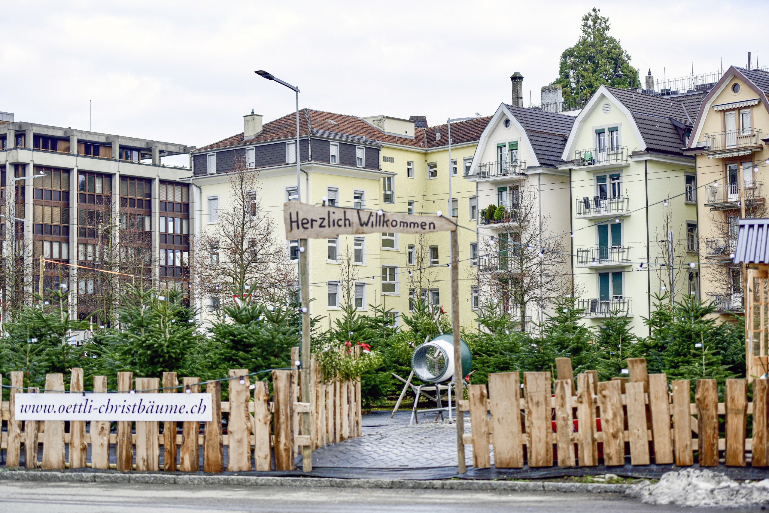 Wo Markus Oettli bis anhin im Dezember Christbäume verkaufte, steht heute ein Wald aus Visieren des geplanten Bauprojekts Stadthof; weshalb der Christbaumverkäufer an den ehemaligen Hochhaus-Standort in Steinach zieht.