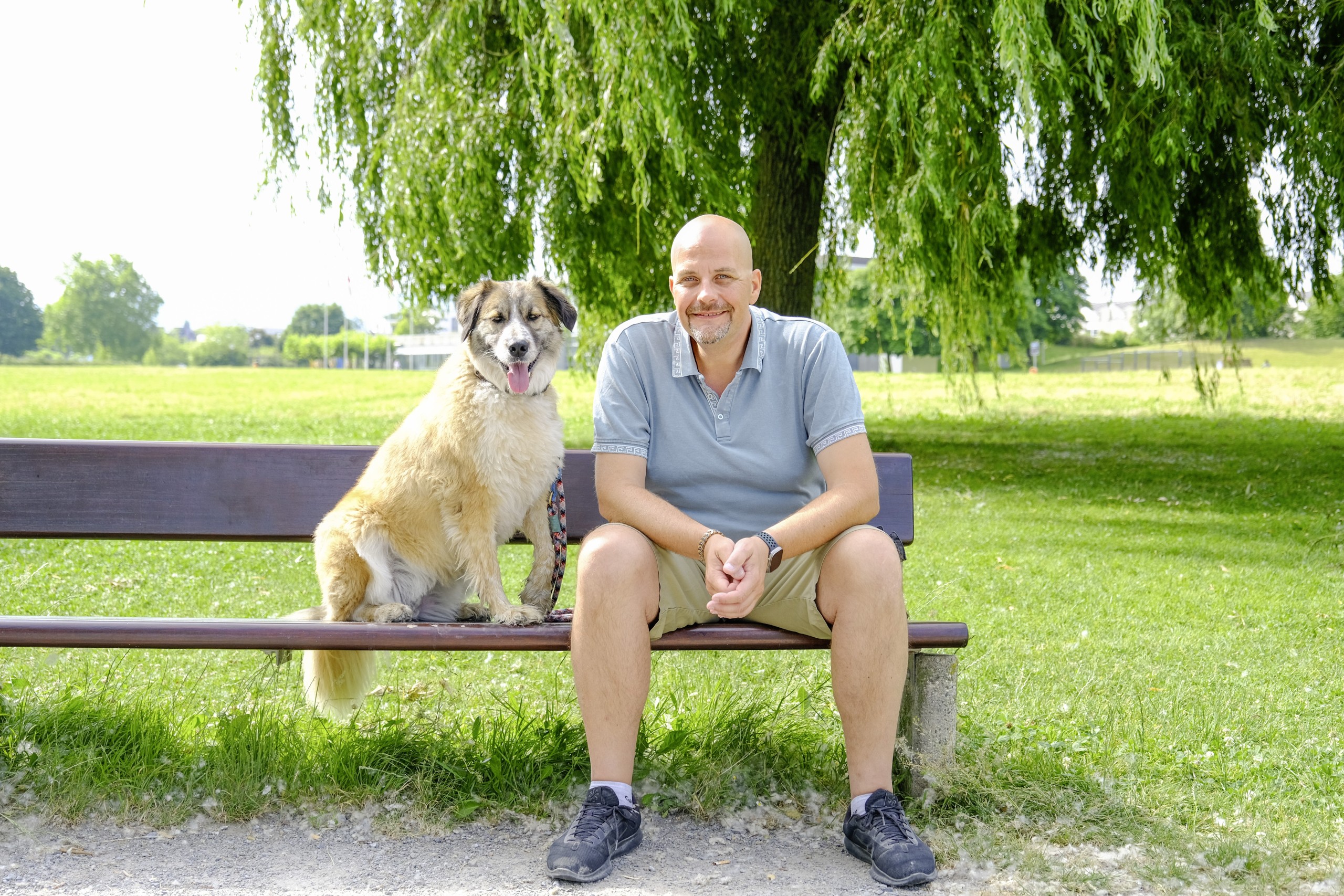 Während Spaziergängen am See mit seiner Hündin Kaja schöpft der Sterbe- und Trauerbegleiter neue Kraft. Momentan arbeitet Nicolai Siefert als Buschauffeur, sein Ziel ist jedoch, zukünftig mit seinem Unternehmen «Lebenswege» seinen Unterhalt finanzieren zu können.