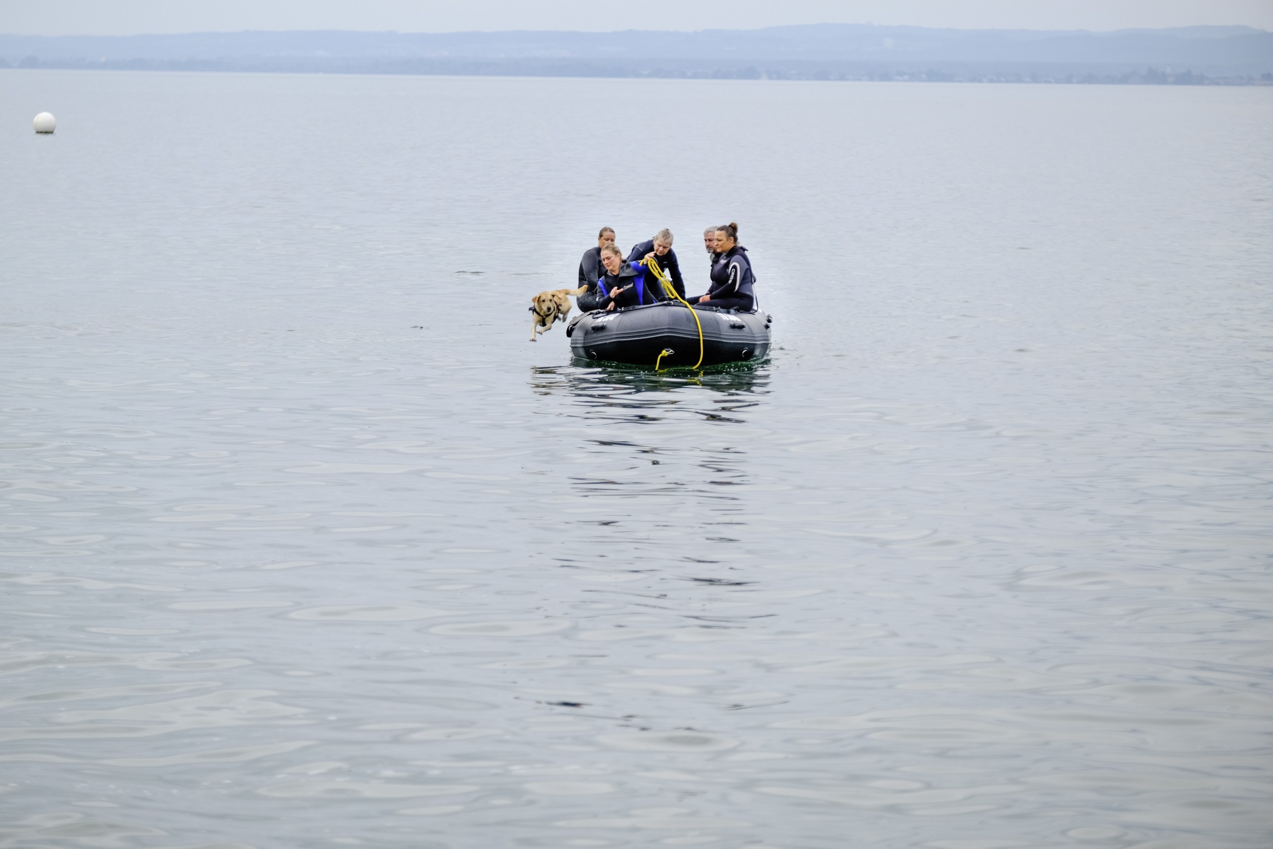 Wagemutig springen die Hunde vom Boot um dieses mithilfe des «Kauteils» am Ende des Seils sicher an Land zu bringen.