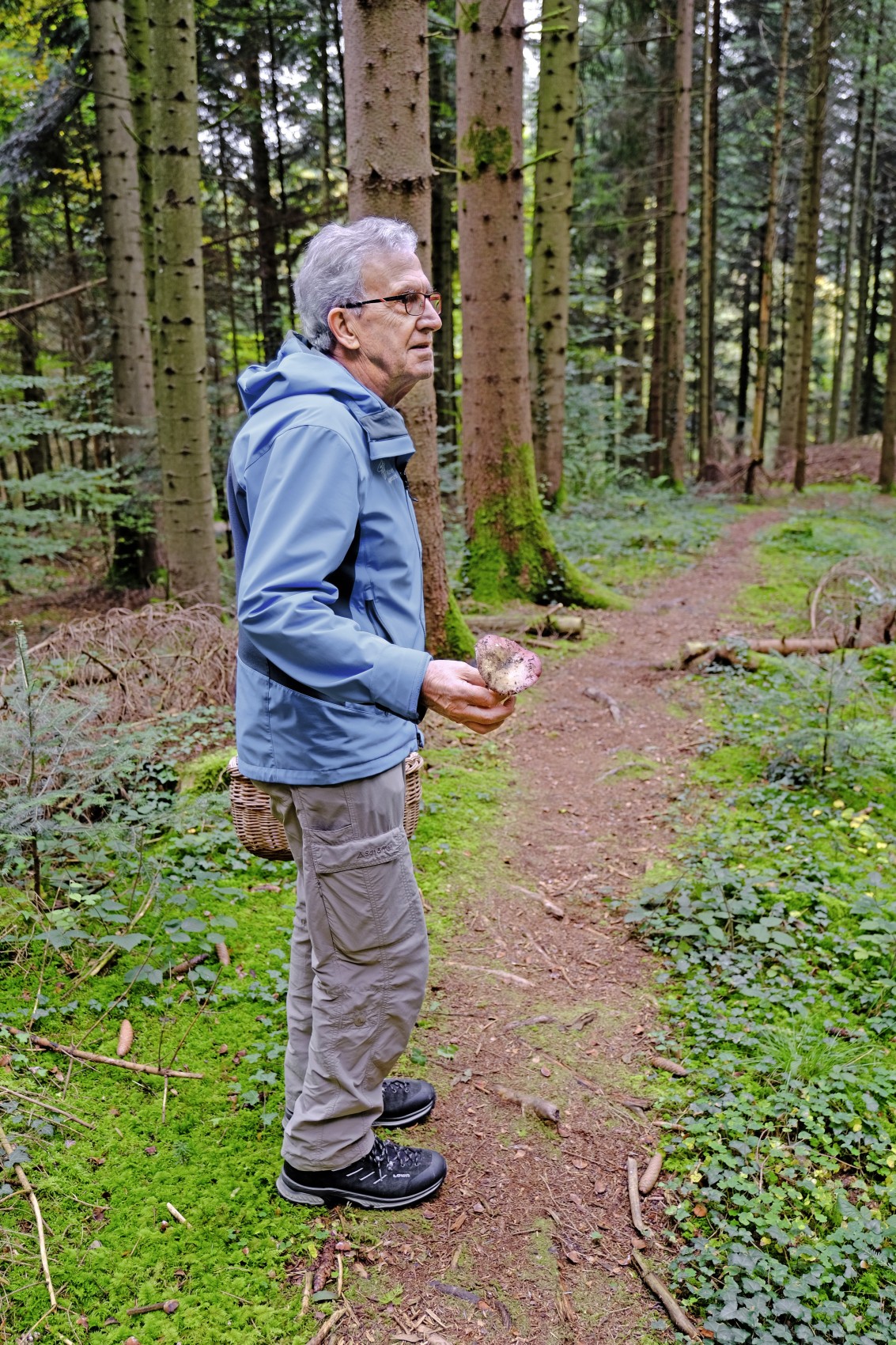 Der Arboner Pilzkontrolleur Urs Walser bestimmt mit Augen, Hände, Nase und Mund die verschiedenen Pilzarten im Roggwiler Wald.