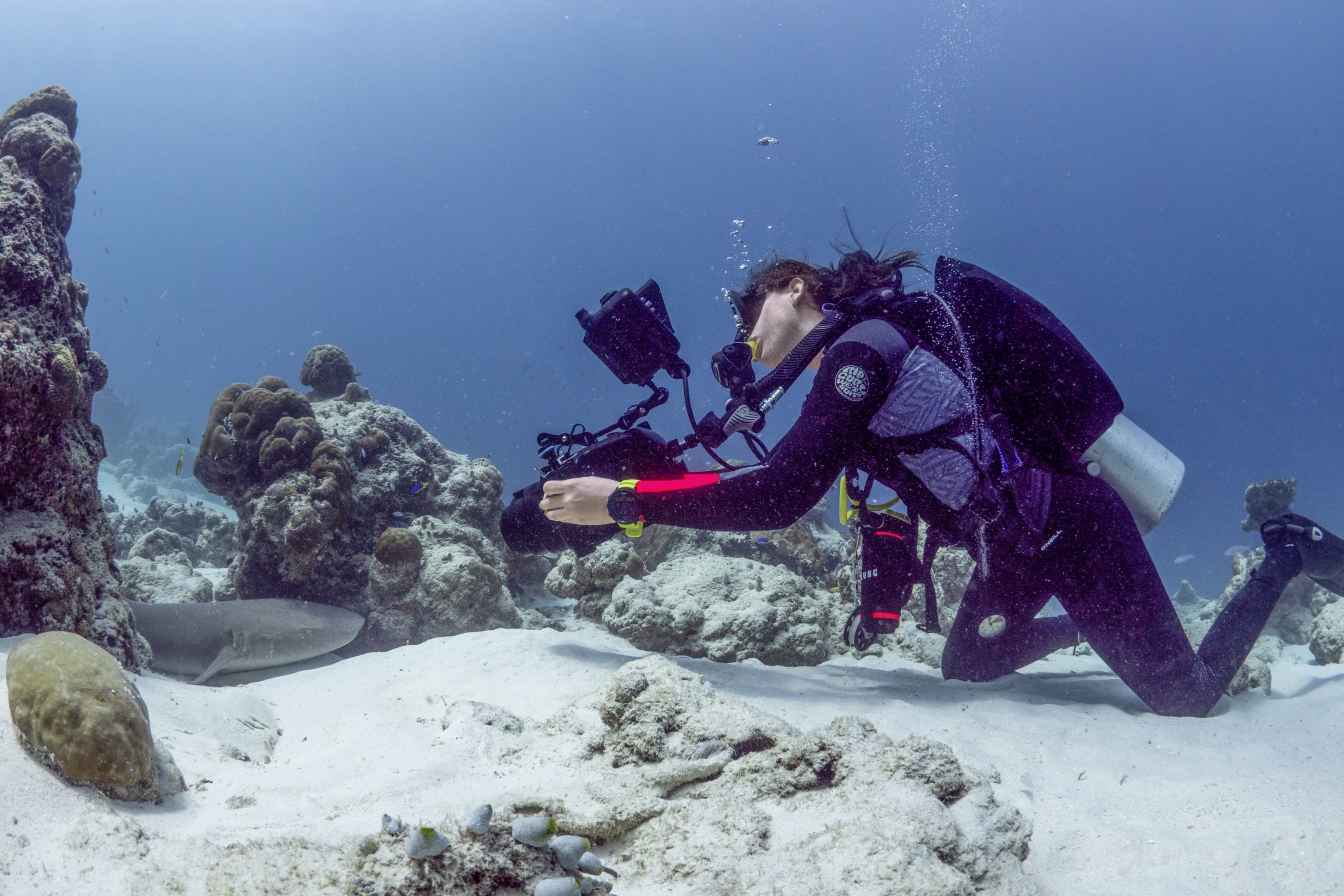 Naturfilmerin Martina Andrés beim Dreh unter Wasser.