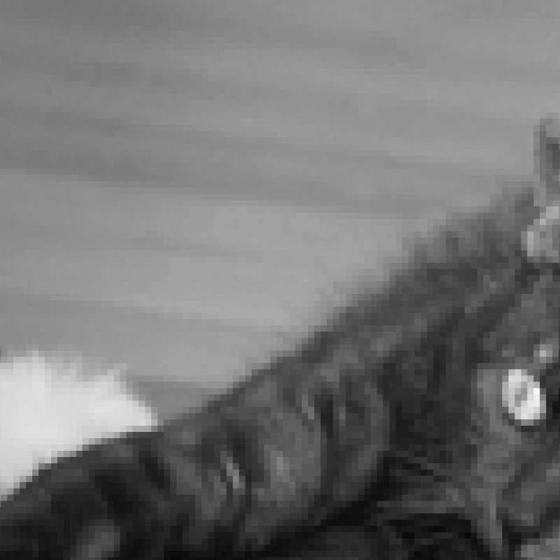 bild-felix-veranstaltungen.png bild-felix-veranstaltungen.png