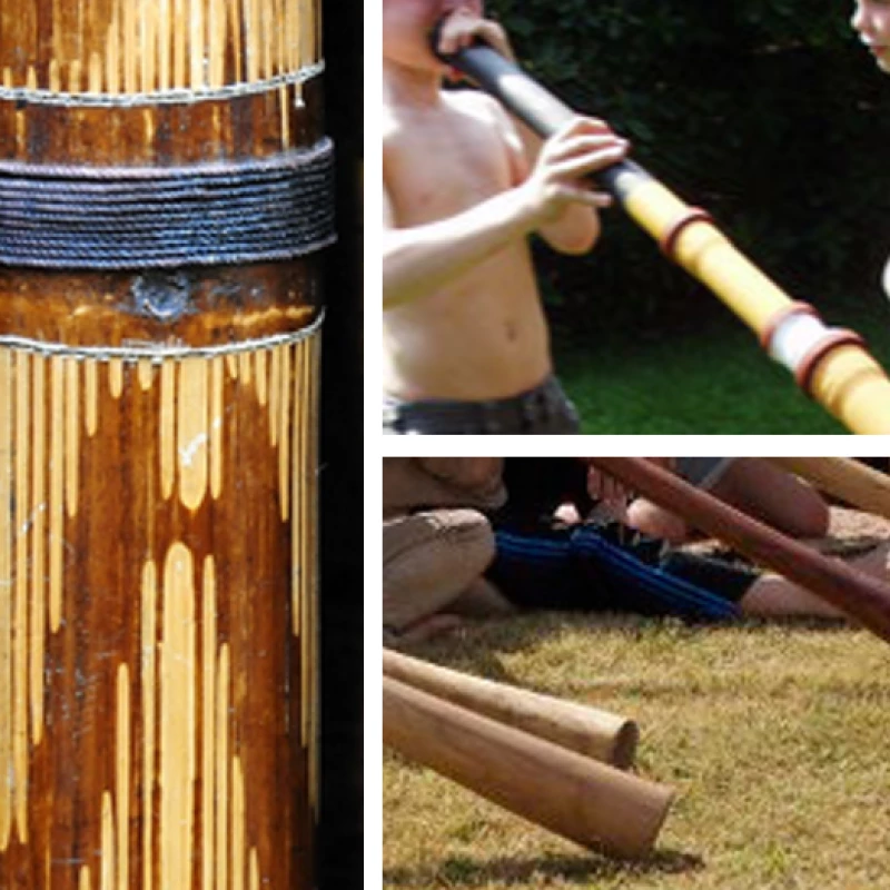 didgeridoo.png