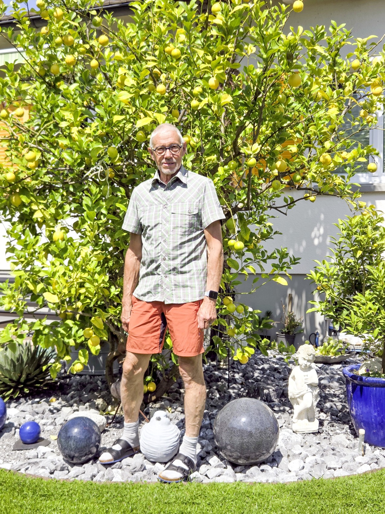 «Wenn das Leben dir Zitronen schenkt, mach Limonade draus!» Peter Glaus kam mit blauem Auge davon und geniesst heute dankbar seinen Zitronenbaum.