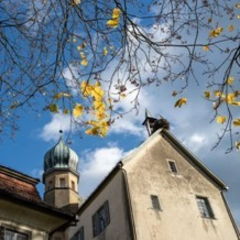 herbst.jpg
