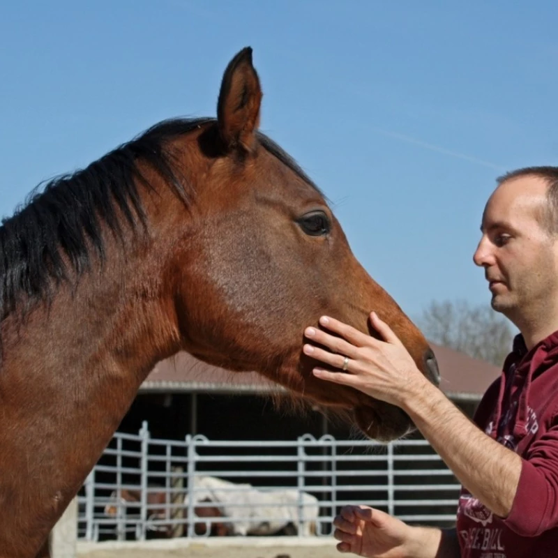 paul-spricht-mit-nadjaar.jpg